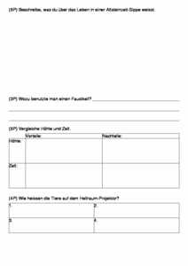 Vorschau themen/altsteinzeit/Test Altsteinzeit.pdf